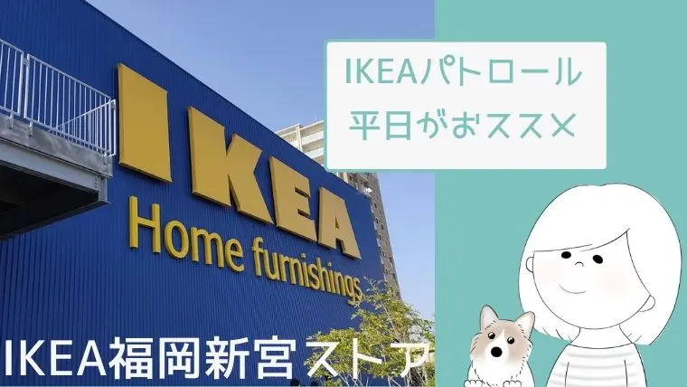 Ikeaパトロール 毎月恒例ikea福岡新宮ストアに行ってきました 欲しいモノはget出来るか 909号室